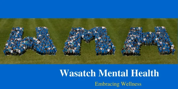 Wasatch Behavioral Health Special Services District